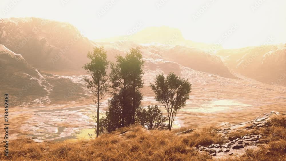 A grassy field with trees and mountains in the background A grassy field with trees and mountains in the background
