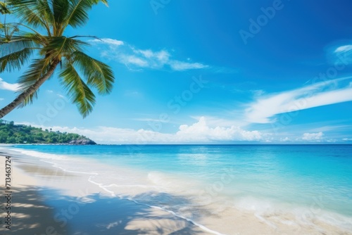 a view of a beach with a palm tree in the foreground and a blue sky with clouds in the background. © Nadia