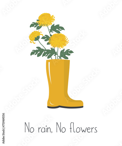 Yellow chrysanthemums with green leaves in yellow rubber boot. Autumn yellow flowers. No rain, no flowers concept. Fall floral composition. Vector illustration on white photo