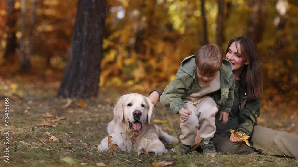 Smiling beautiful family of four walking in the park with a happy golden retriever and enjoying the beautiful autumn nature. An ideal family on an autumn walk. Natural Park. Family active holiday conc Smiling beautiful family of four walking in the park with a happy golden retriever and enjoying the beautiful autumn nature. An ideal family on an autumn walk. Natural Park. Family active holiday conc