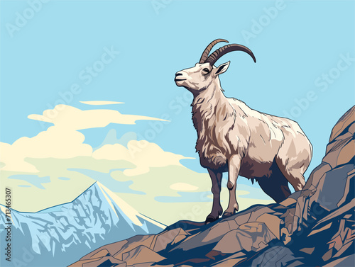 mountain goat on a rock