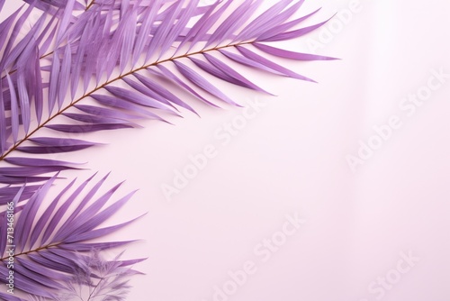  a close up of a purple plant on a white background with a place for a text or an image to put on it. © Nadia