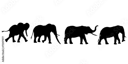 Silhouettes of Elephant Collection