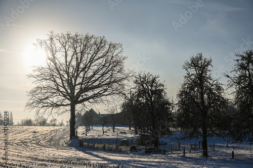 Belgique Brabant flamand Beersel paysage arbre campagne hiver neige environnement photo