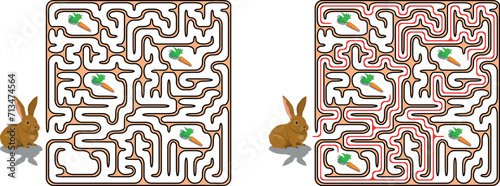 Bunny wants to eat. Please feed the hungry pet. Help rabbit pass through maze to find 3 carrots. Game for kids and parents. Family activity