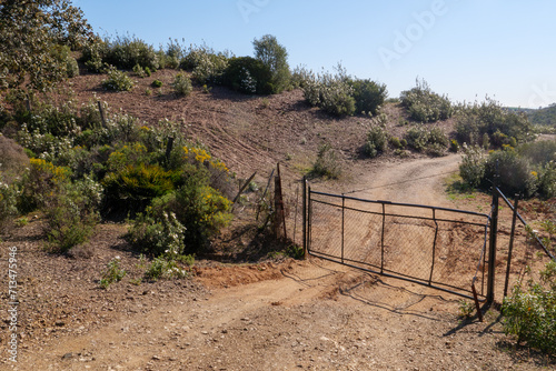 Blühender Ginster und Zistrosen, Cistus im Frühling auf dem Camino Via de la Plata zwischen Guillana und Castilblanco Provinz Sevilla, Andalusien, Spanien auf dem Weg nach Santiago de Compostela photo