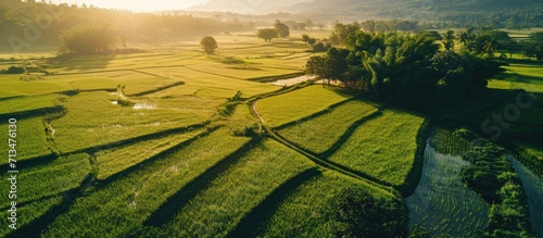 Agriculture drone flying on the green rice fields with morning dew drops. Copy space image. Place for adding text or design