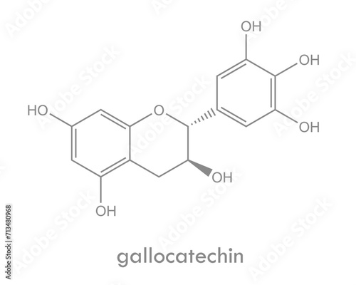 Gallocatechin structure. Molecule of catechin (polyphenol) found in green tea.