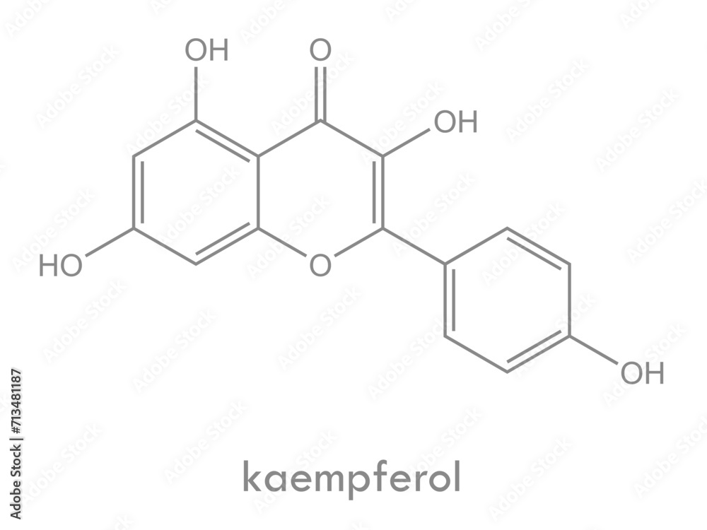 Kaempferol structure. Molecule of flavonol (flavonoid) found in many plants. Kaempferol structure. Molecule of flavonol (flavonoid) found in many plants.