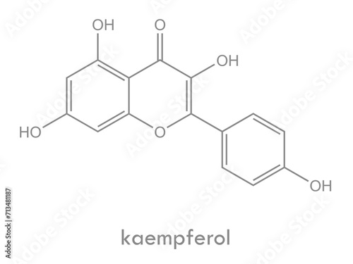 Kaempferol structure. Molecule of flavonol (flavonoid) found in many plants.