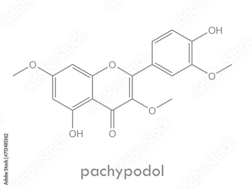 Pachypodol structure. Molecule of flavonol (flavonoid) found in korean mint.