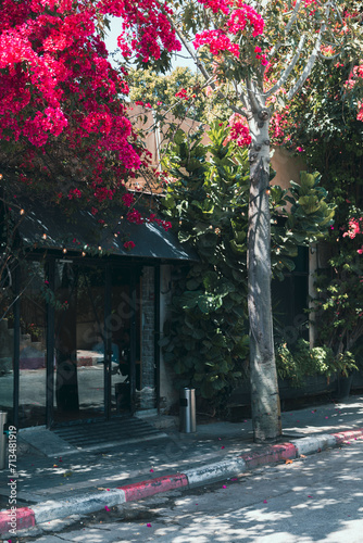 Bursts of vivid pink bougainvillea adorn an inviting alley entrance  adding a touch of nature s beauty to the historic Neve Tzedek district in Tel Aviv  Israel