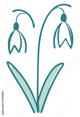 Przebiśnieg ilustracja