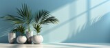 Studio interior space with light blue background with shadow of tropical palm leaves. 3d rendering of square empty space for product placement