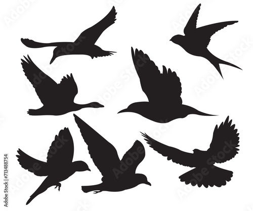 flying bird vector icon, with black color, bird shadow, illustration vector, suitable for design variations © Mufid