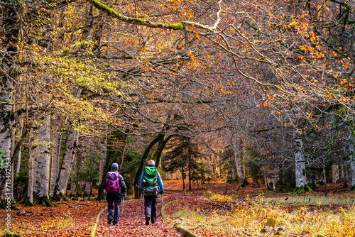 couple walking along an adapted path, Ordesa i Monte Perdido National Park, Province of Huesca, Aragon photo