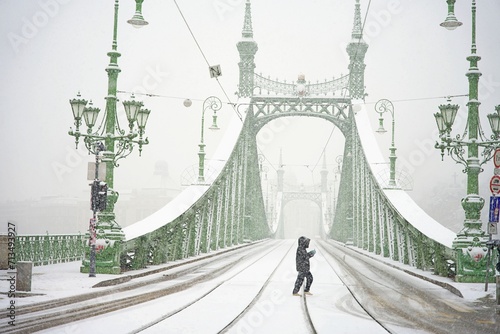 Photography Budapest, Hungary - November 30, 2023: Famous Liberty bridge during snowy winter day