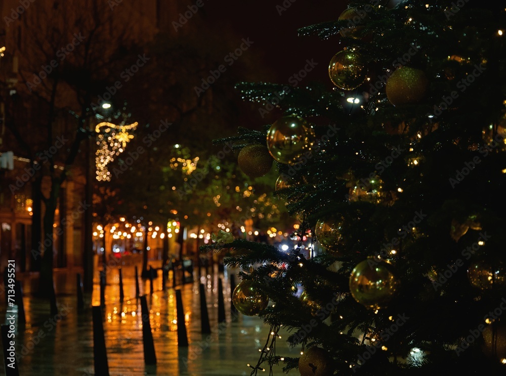 Budapest, Hungary: Christmas tree near Eotvos Lorand University at Egyetem street.