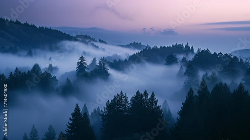 peak fog evening foggy landscape © v.senkiv