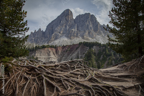 Enchanted Dolomiti: along the paths of Roda de Putia