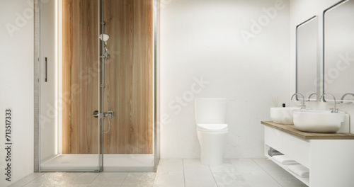 shower in white bathroom modern minimal style.