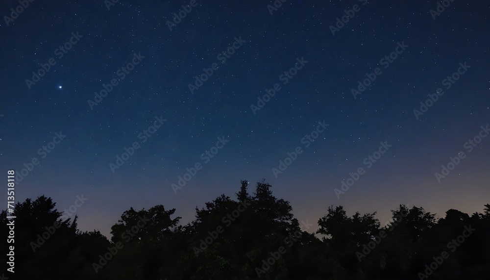 Starry night over trees silhouette 