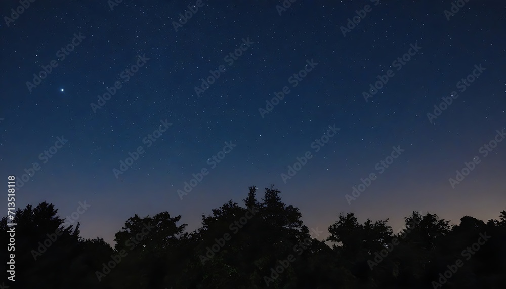 Fototapeta premium Starry night over trees silhouette 