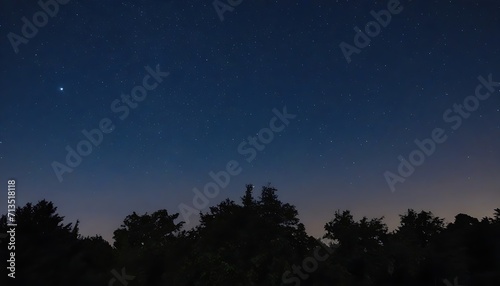 Starry night over trees silhouette 
