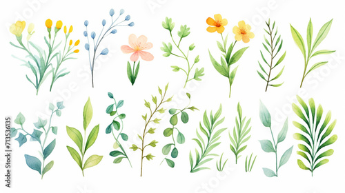 Herbs and vegetables, Cartoon drawing, Water color style, AI Generated