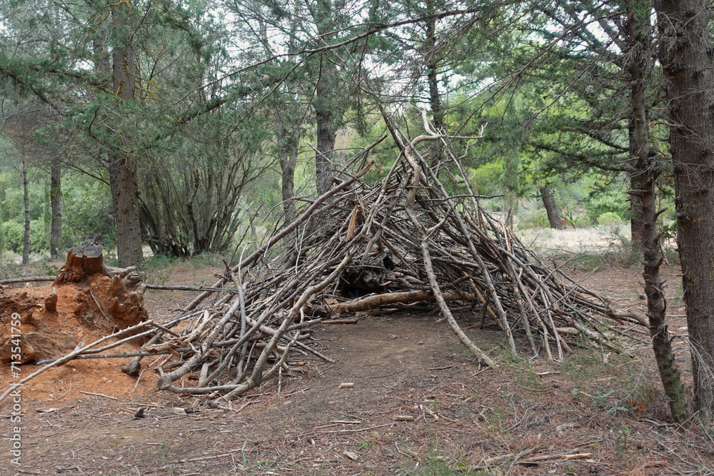 wooden tent structure made from tree branches in the woods wooden tent structure made from tree branches in the woods