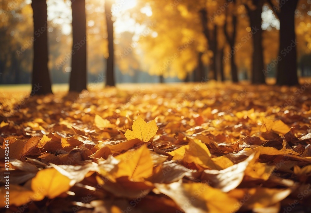 Beautiful autumn landscape with yellow leaves and sun Colorful foliage in the park Falling leaves na