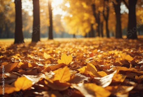 Beautiful autumn landscape with yellow leaves and sun Colorful foliage in the park Falling leaves na