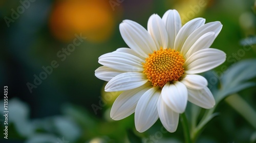 Close-Up of White Flower With Yellow Center