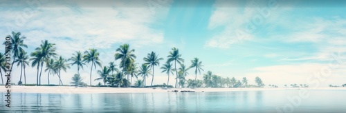 palm trees on a beach near a blue body of water © olegganko