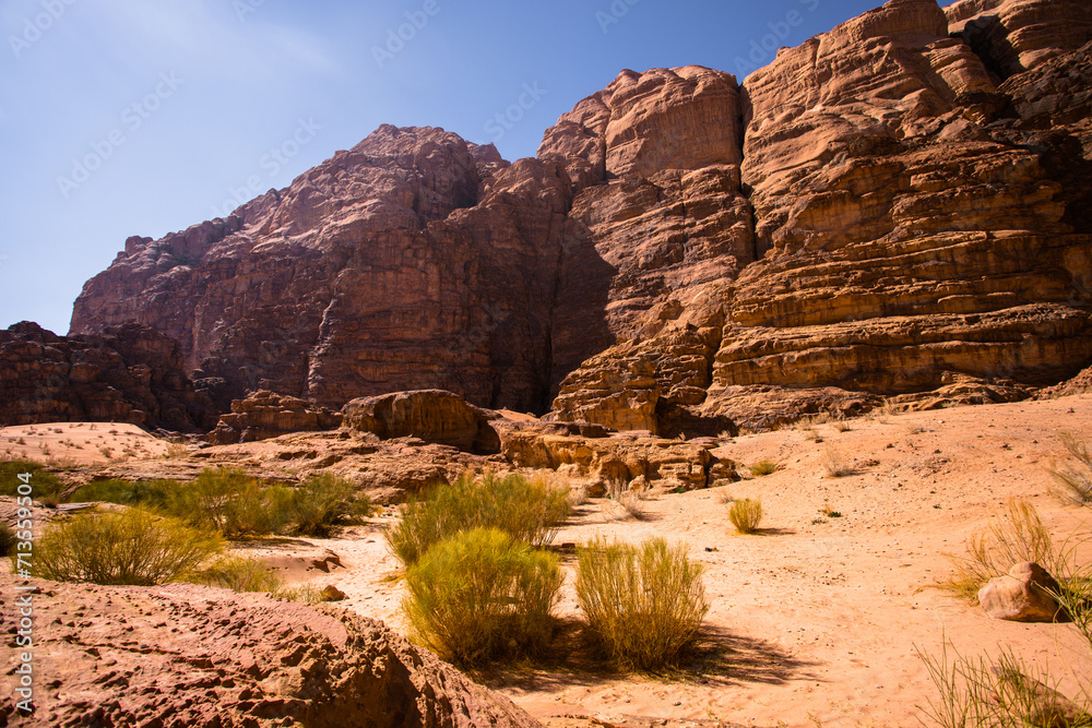 Fototapeta premium The red desert. Wadi Rum, Jordan.