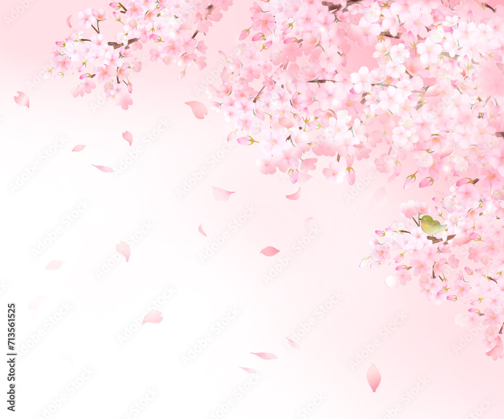 ウグイスと美しい薄いピンク色の桜の花と花びら春の水彩白バックフレーム背景素材イラスト