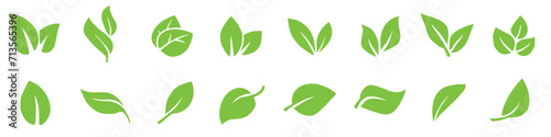 Green leaf icons set. Set of green leaf icons. Collection green leaf.