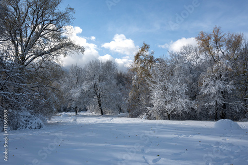 Winter Landscape of South Park in city of Sofia, Bulgaria