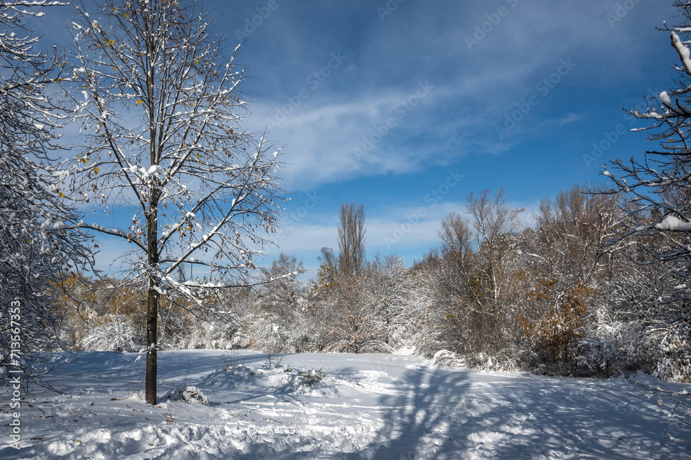 Winter Landscape of South Park in city of Sofia, Bulgaria Winter Landscape of South Park in city of Sofia, Bulgaria