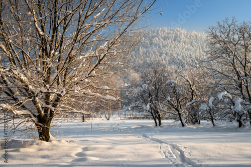 zimowy krajobraz oświetlony zachodzącym słońcem