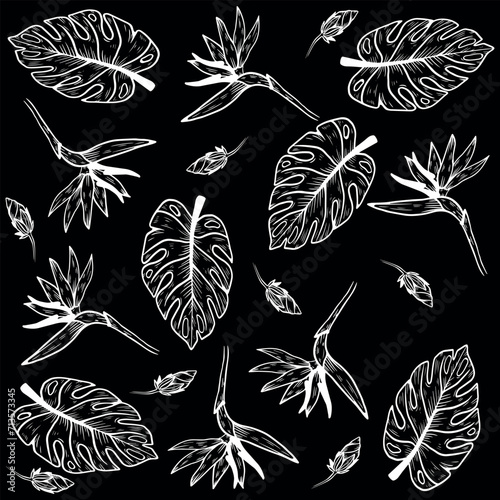 Wildflower silhouettes vector seamless pattern. Chamomile or daisy painted with a brush. Small branches with leaves, stems with flowers. Summary of the plant motif. Black brush painted with floral orn
