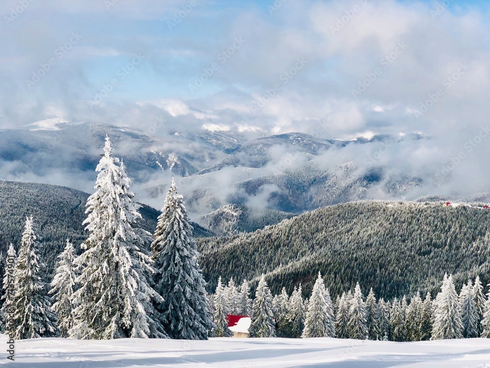 Fototapeta premium ski resort