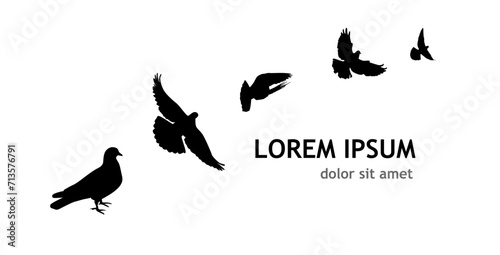 Flocks of flying pigeons isolated on white background. Pigeons are standing on the ground. hand drawing. Not AI, Vector illustration