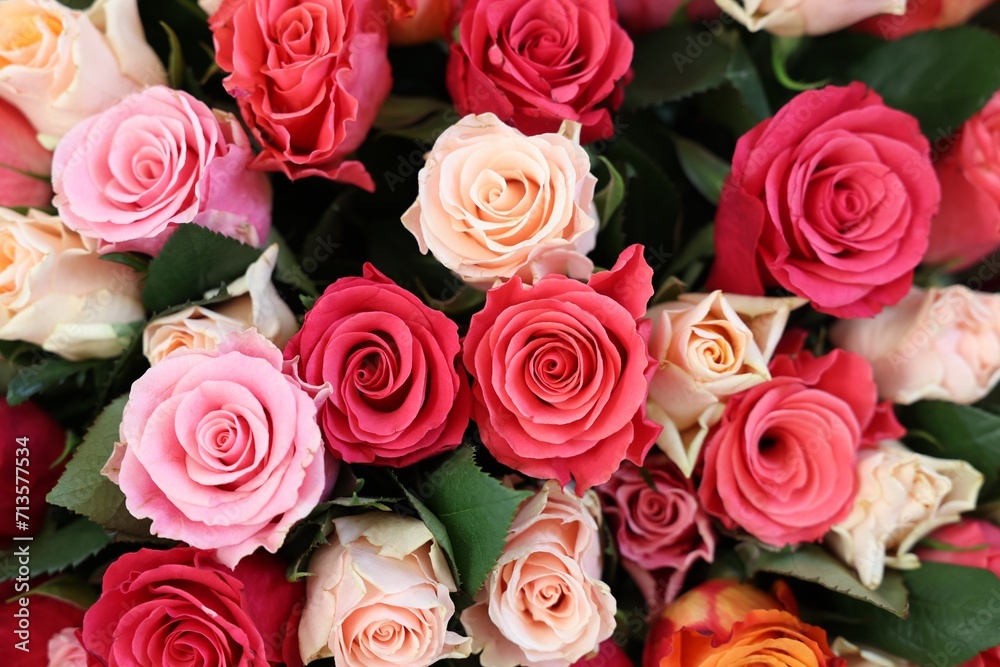 Bouquet of beautiful rose flowers as background, top view