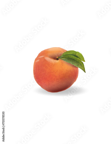 Peach - Realistic Vector (ID: 713578530)