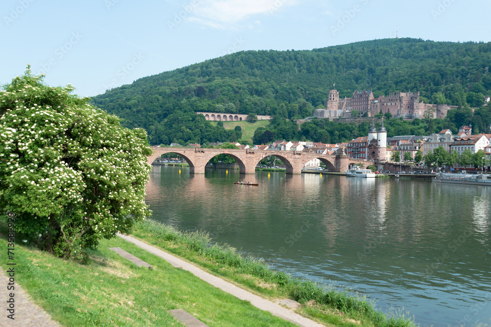 Die Alte Brücke, Schloss und die Altstadt Heidelberg