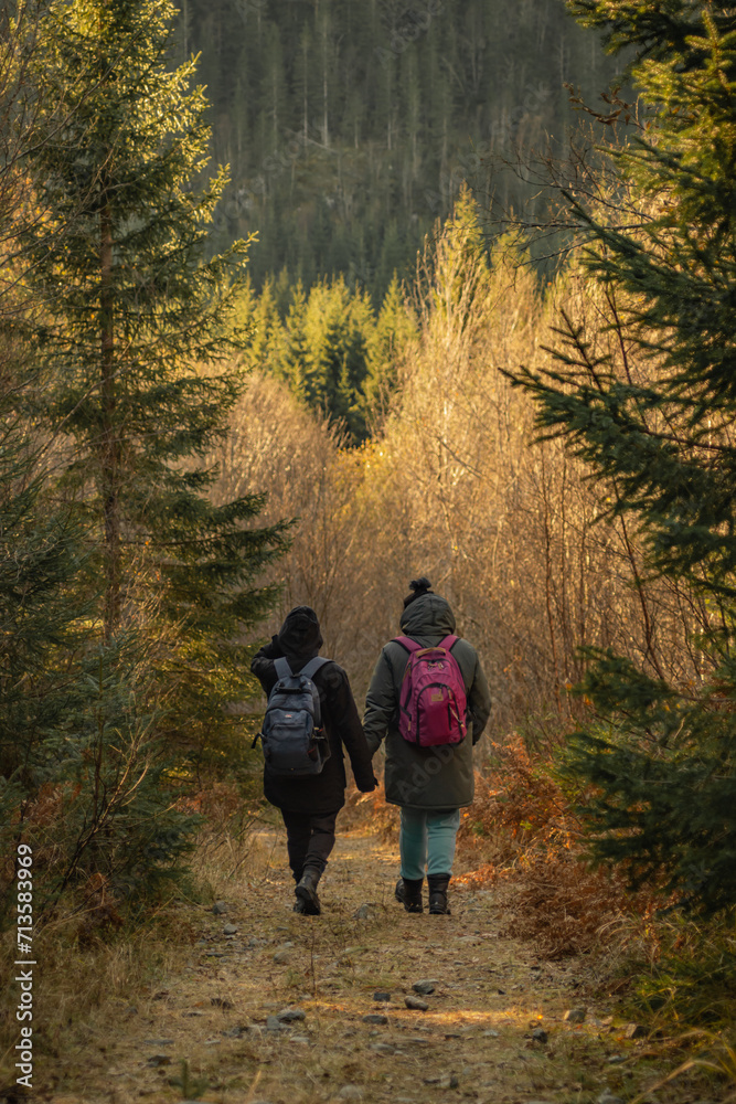 hiking in the mountains, two persons going through forest