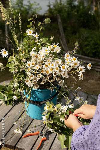 Woman making a traditional Swedish Midsummer flower crown on Midsummer Eve with freshly picked summer flowers. Photo taken in Sweden.