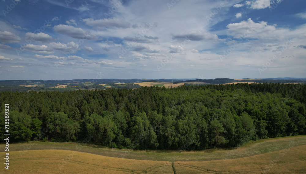 landscape with trees