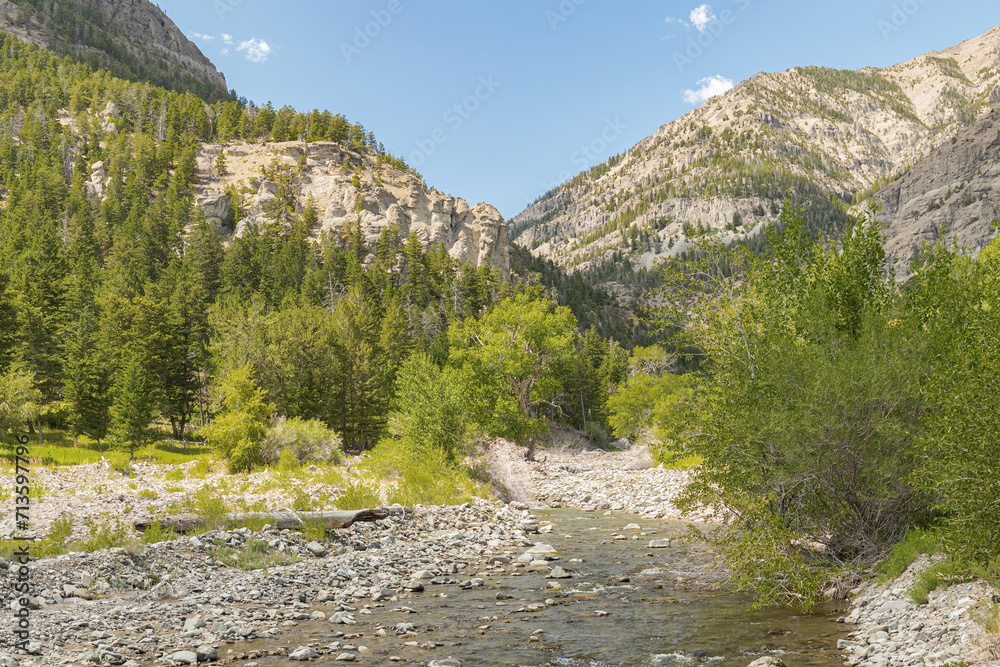 Wood River mountain stream at the entrance of a canyon in the Shoshone National Forest in the wilderness of northwest Wyoming during summer.  